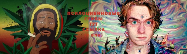 a pvp Кулебаки