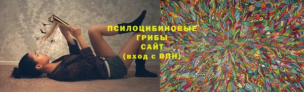 a pvp Кулебаки
