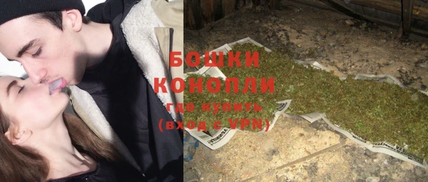 стаф Ладушкин