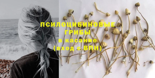 прущий лед Кукмор