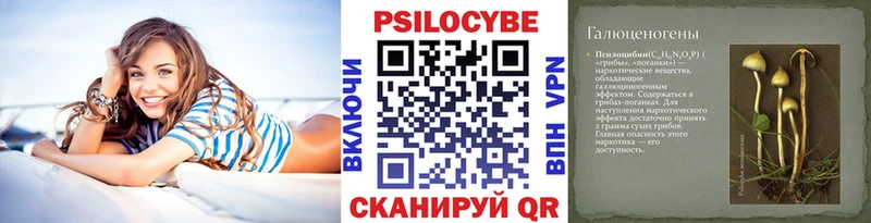 Галлюциногенные грибы GOLDEN TEACHER  Купить где  Катайск 