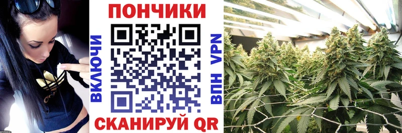 Каннабис OG Kush  Купить  Катайск 